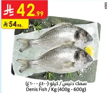 سمك دنيس / كيلو (400-600 غ)