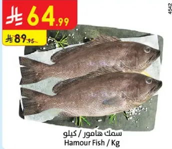 Hamour Fish / Kg