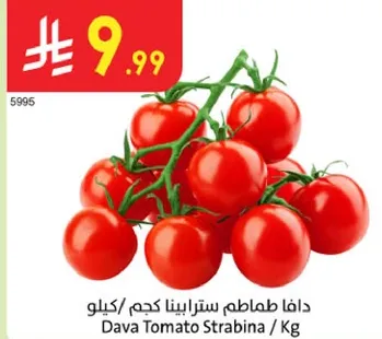 دافا طماطم سترابينا كجم