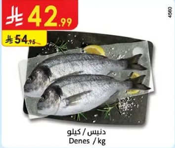 سمك دنيس / كيلو.