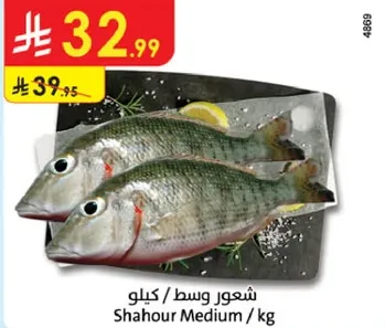 شعور وسط / كيلوا