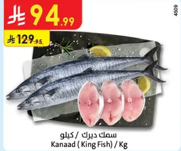 سمك ديرك / كيلو