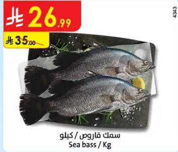 سمك قاروص / كيلو