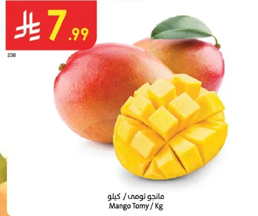 مانجو تومي / كيلو
