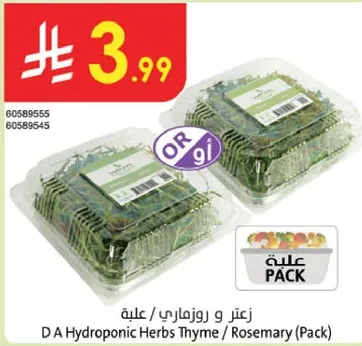 زعتر و روزماري علبه