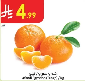 افندي مصري (تانجو) / كيلو