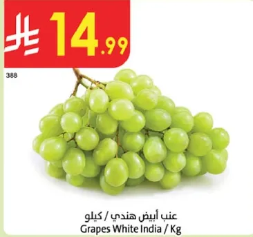 Grapes White India / Kg
