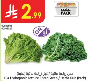 D A Hydroponic Lettuce 5 Star Green / Herbs Kale (Pack)