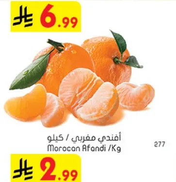 افندي مغربي / كيلو