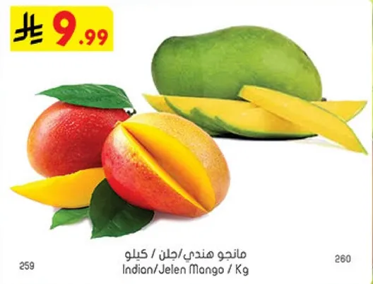 مانجو هندي / كيلو