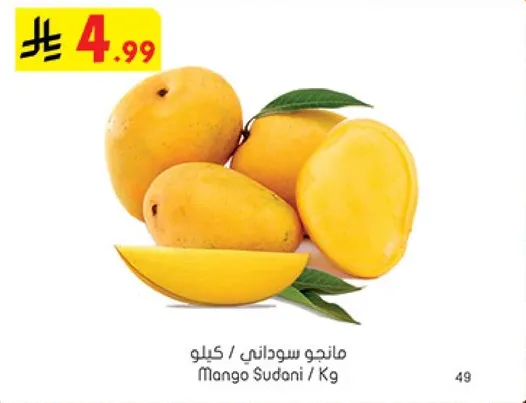 مانجو سوداني / كيلو