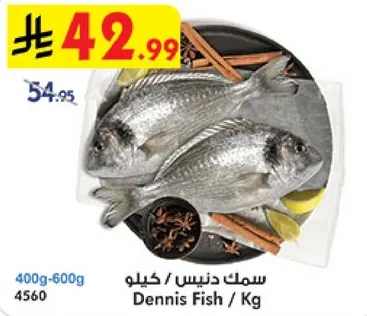 سمك دنيس كيلو.