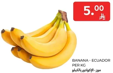 موز - الاكوادور