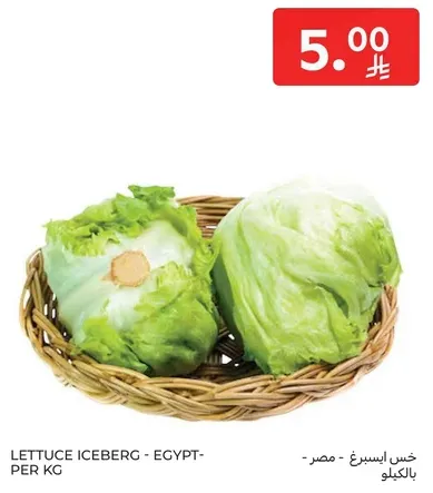 خس ايسبرغ - مصر - بالكيلو