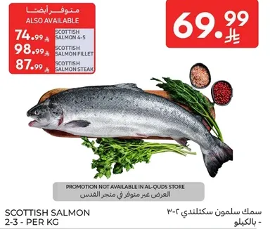 سمك سالمون سكوتلندي 2-3 بالكيلو