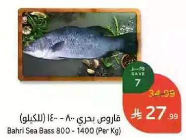 سمك البوري البحري 800 - 1400 (لكل كجم)