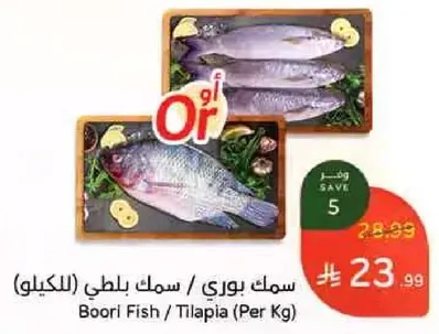 سمك بوري / سمك بلطي (بالكيلو)