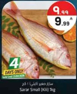 سارار صغير (كيلو) 1 كجم