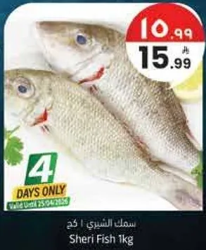 سمك الشري 1 كجم