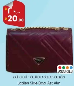 Ladies Side Bag - Ast Alm
