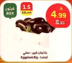 Big Local Eggplant