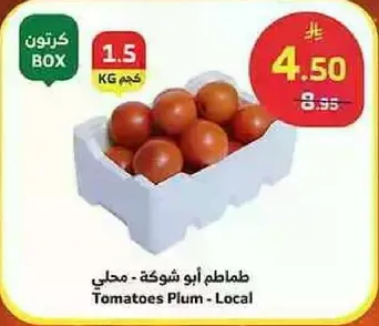 طماطم ابو شوشه - محلي - 1.5 كجم