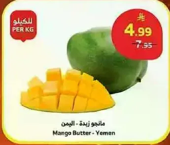 مانجو زيده - اليمن