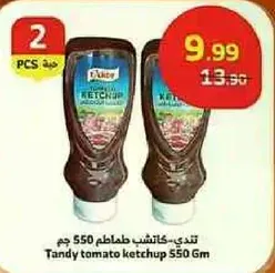 Tandy tomato ketchup 550 gm
