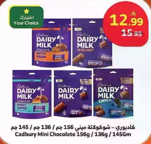 Cadbury Mini Chocolate 156g