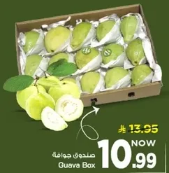 صندوق جوافه