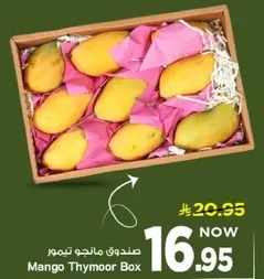 صندوق مانجو تيمور