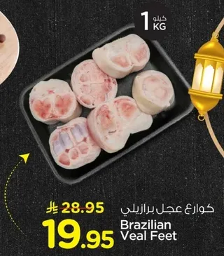 كوار عجل برازيلي