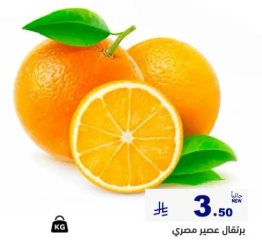 برتقال عصير مصري