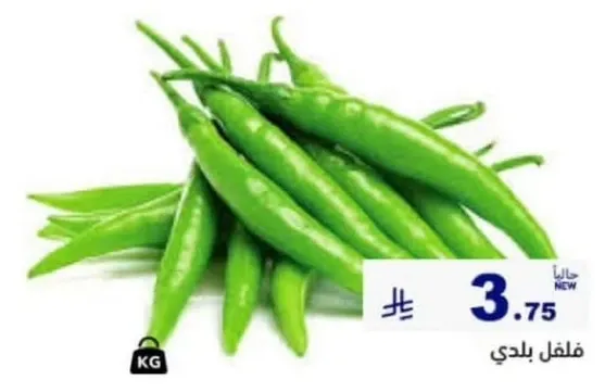 فلفل بلدي طازج.