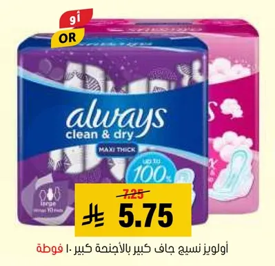 اولويز جاف كبير بالاجنحه كبير.