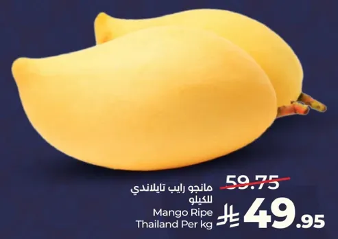 مانجو رايب تايلاندي للكيلو