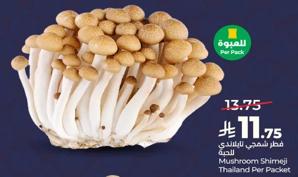 فطر شميجي تايلندي