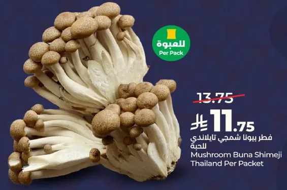 فطر بونا شيميجي تايلاندي للحبه