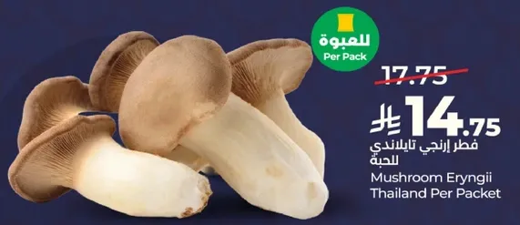 فطر الزنجبيل التايلندي للحياه