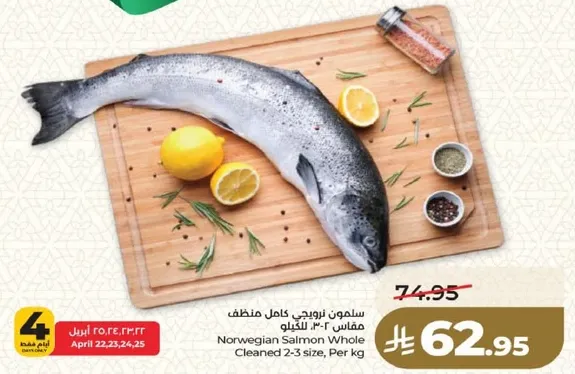 سالمون نرويجي كامل منظف مقاس 2-3 الكيلو