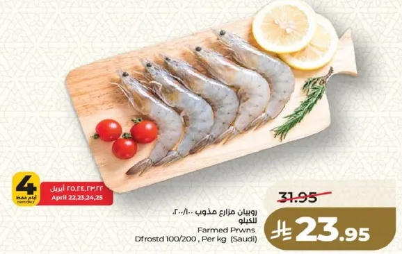 روبيان مزارع مدبوغ 100/200 الكيلو