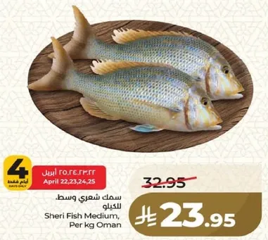 سمك شعري وسط للكيلو