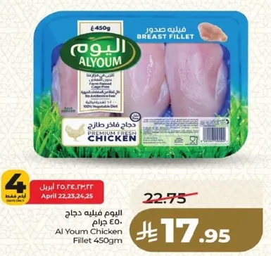 فيليه دجاج اليوم 450 جرام