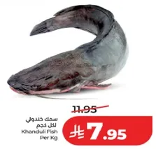 سمك خندول للكل كجم