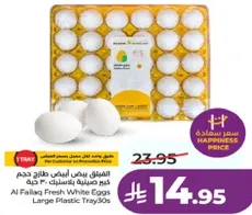 بيض ابيض طازج من الفايق حجم كبير بصينيه بلاستيكيه 30 حبه