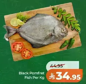 سمك بومفريت الاسود لكل كيلو
