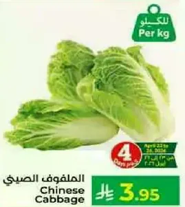 الملفوف الصيني