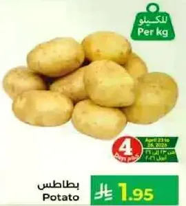 بطاطس