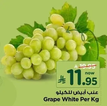 عنب ابيض للكيلو