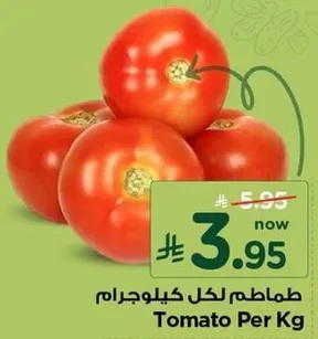 طماطم لكل كيلو جرام